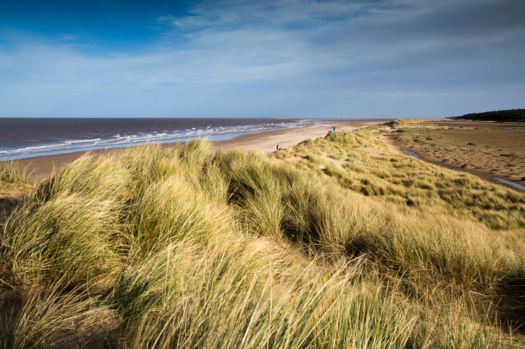1609756059246-Holkam beach dog friendly.jpg